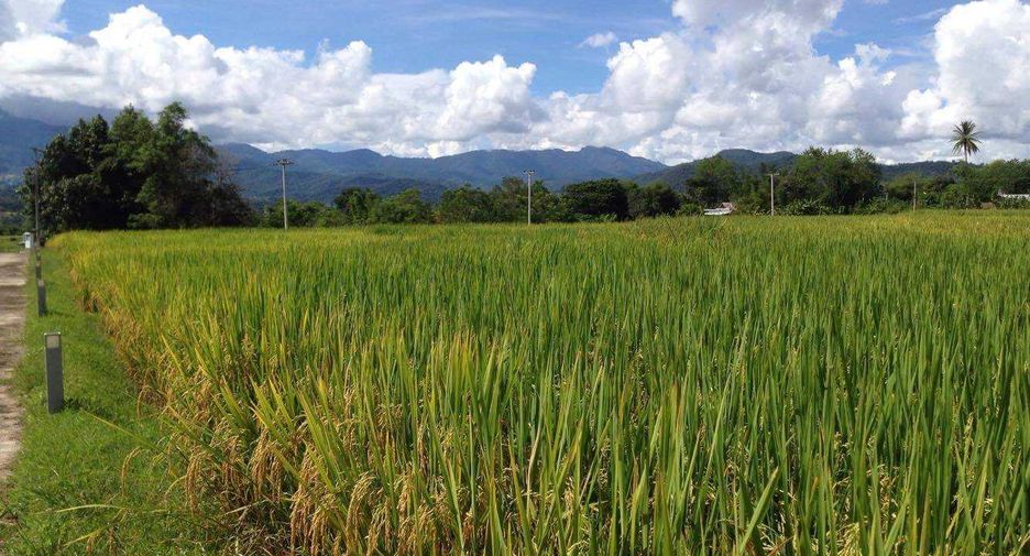 For sale 2 ベッドルーム house in Pai, Mae Hong Son