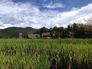 For sale 4 Beds house in Pai, Mae Hong Son
