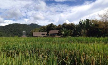For sale 2 bedrooms house in Pai, Mae Hong Son