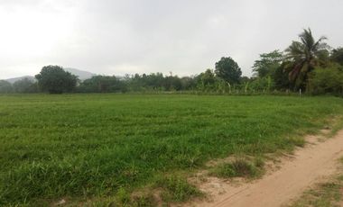 ขาย ที่ดิน ใน ศรีราชา, ชลบุรี