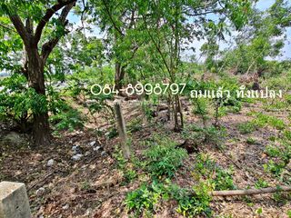 For sale land in Bang Sai, Phra Nakhon Si Ayutthaya