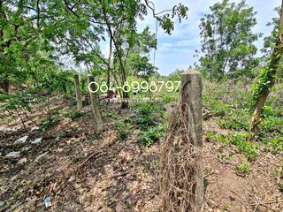 For sale land in Bang Sai, Phra Nakhon Si Ayutthaya