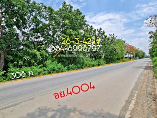 For sale land in Bang Sai, Phra Nakhon Si Ayutthaya