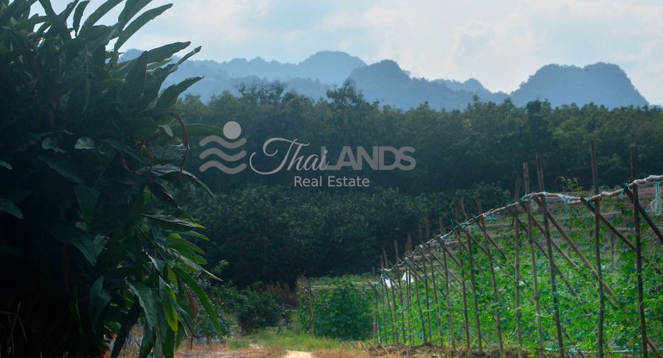 Terreno en venta en Sai Yok, Kanchanaburi