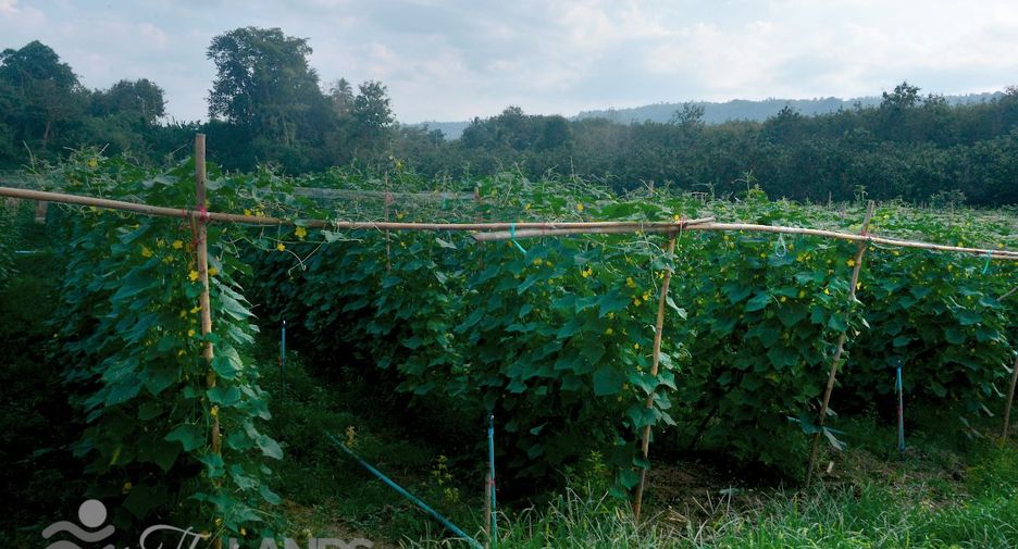 Terreno en venta en Sai Yok, Kanchanaburi