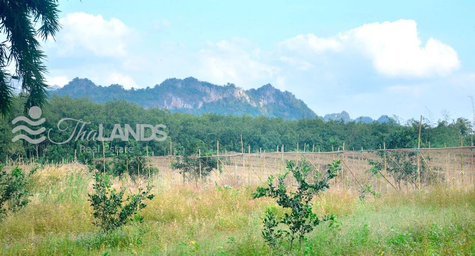 Terreno en venta en Sai Yok, Kanchanaburi