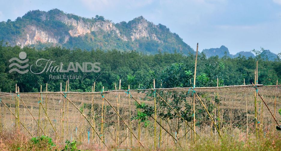 Terreno en venta en Sai Yok, Kanchanaburi