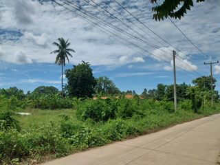 For sale land in Banphot Phisai, Nakhon Sawan