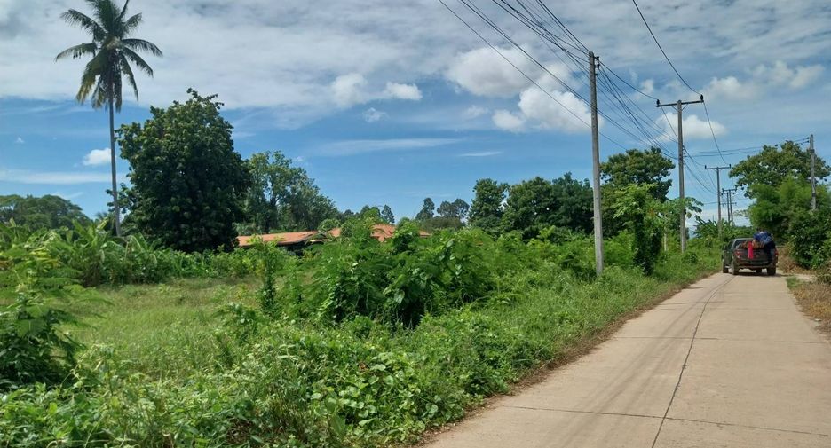 For sale land in Banphot Phisai, Nakhon Sawan