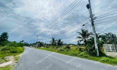 Grundstück zum Kauf in Thalang, Phuket
