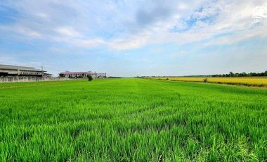 For sale land in Thanyaburi, Pathum Thani