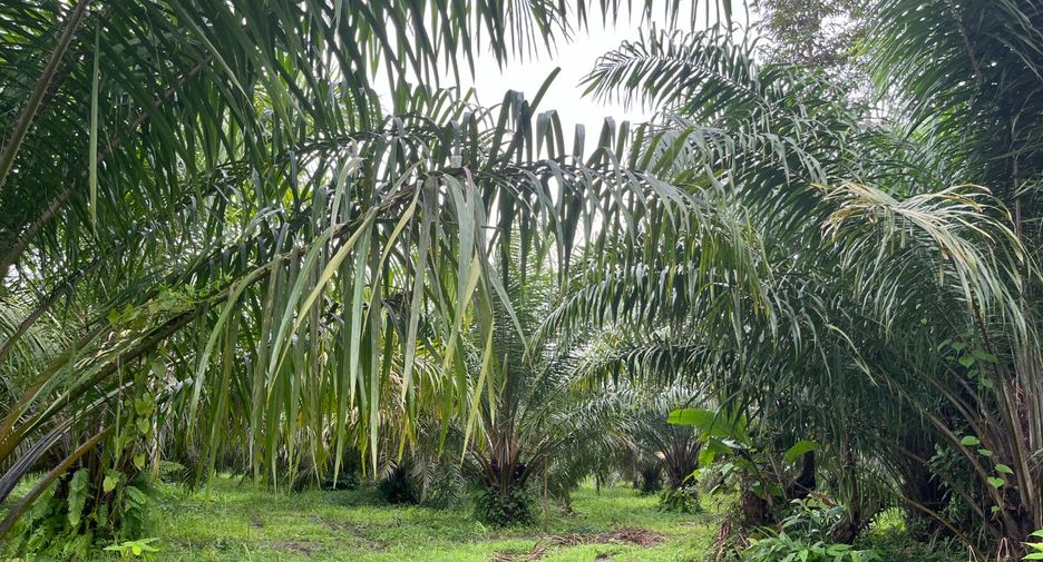 Terreno en venta en Thai Mueang, Phang Nga