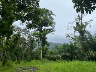 For sale land in Thai Mueang, Phang Nga