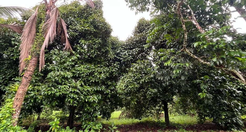 Terreno en venta en Thai Mueang, Phang Nga