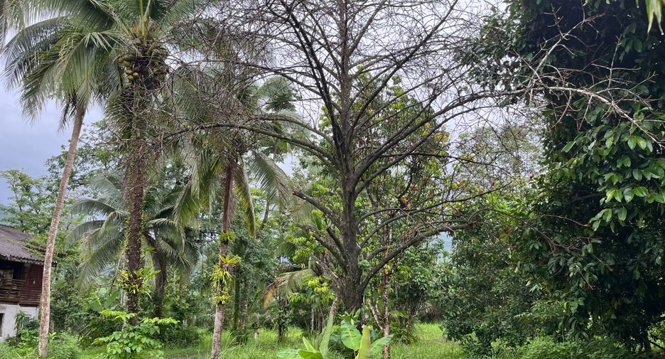 Terreno en venta en Thai Mueang, Phang Nga