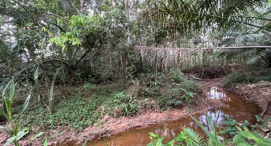 Terreno en venta en Thai Mueang, Phang Nga