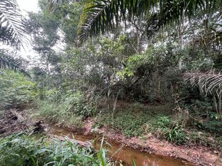 For sale land in Thai Mueang, Phang Nga