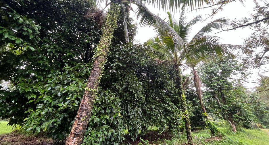 Terreno en venta en Thai Mueang, Phang Nga