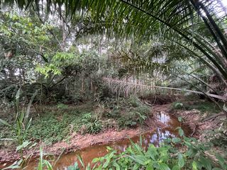 For sale land in Thai Mueang, Phang Nga