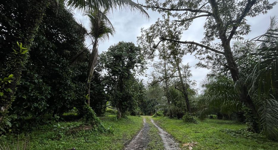 Terreno en venta en Thai Mueang, Phang Nga