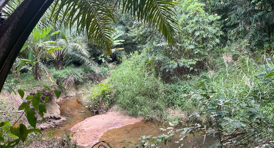 Terreno en venta en Thai Mueang, Phang Nga