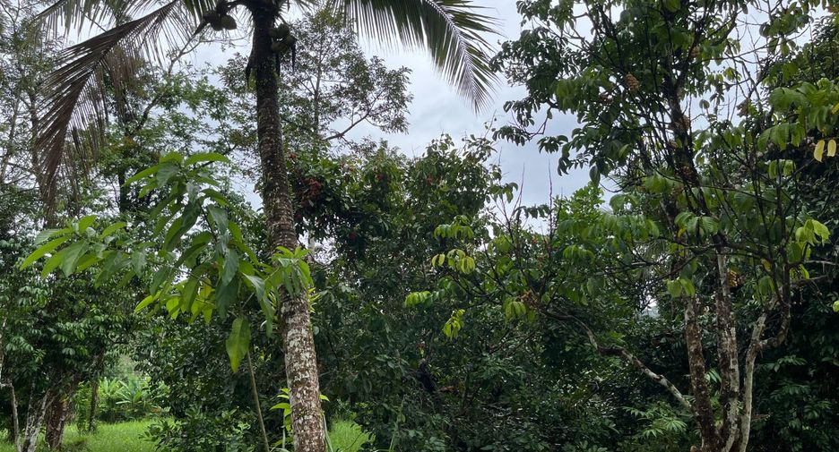 Terreno en venta en Thai Mueang, Phang Nga