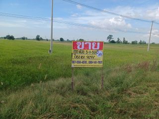 For sale land in Wat Bot, Phitsanulok