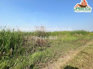ขาย ที่ดิน ใน บางน้ำเปรี้ยว, ฉะเชิงเทรา