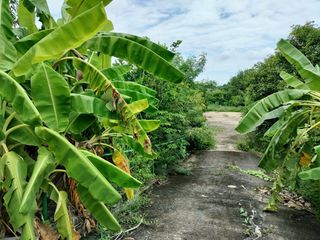 For sale 3 Beds house in Mueang Nakhon Sawan, Nakhon Sawan