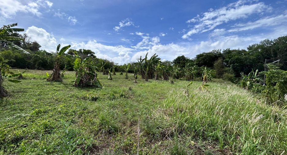 Terreno en venta en Mueang Phuket, Phuket