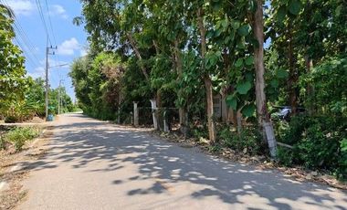 ขาย ที่ดิน ใน ปากท่อ, ราชบุรี