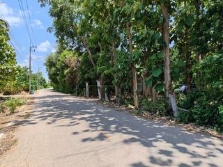 出售 土地 在 Pak Tho, Ratchaburi