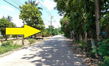 ขาย ที่ดิน ใน ปากท่อ, ราชบุรี