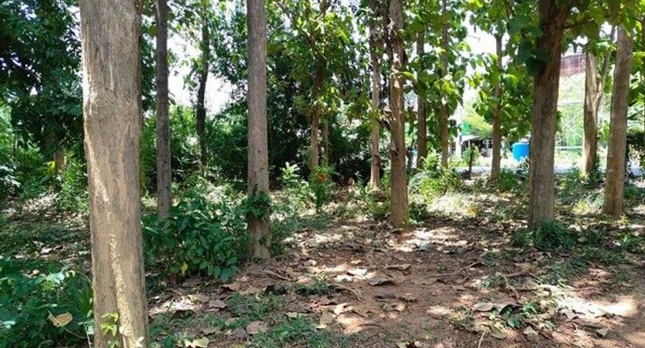 À vendre terrain à Pak Tho, Ratchaburi