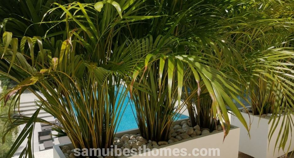 For sale 2 bedrooms apartment in Ko Samui, Surat Thani