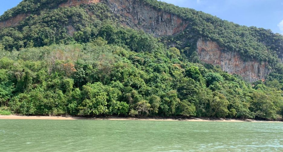 For sale land in Mueang Phangnga, Phang Nga