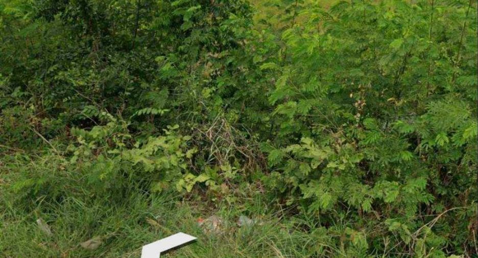 For sale land in Non Sung, Nakhon Ratchasima