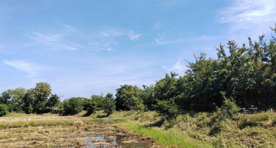 For sale land in Non Sung, Nakhon Ratchasima