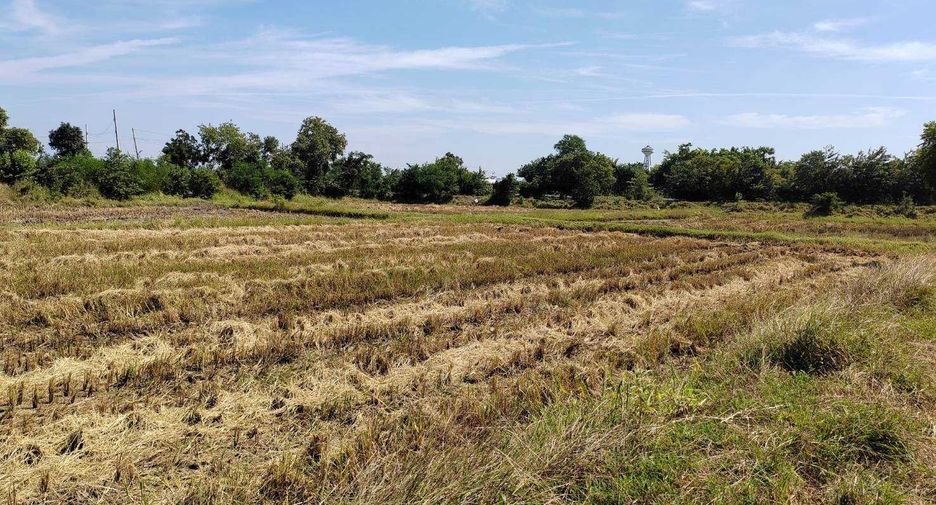 For sale land in Non Sung, Nakhon Ratchasima