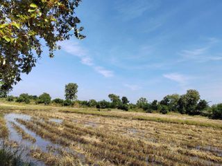 For sale land in Non Sung, Nakhon Ratchasima