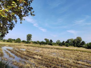 For sale land in Non Sung, Nakhon Ratchasima