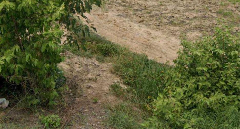For sale land in Non Sung, Nakhon Ratchasima