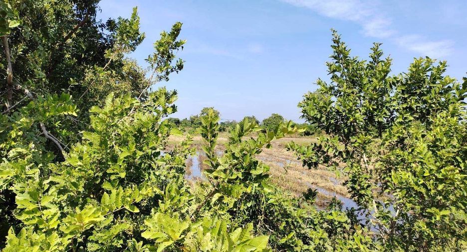 For sale land in Non Sung, Nakhon Ratchasima