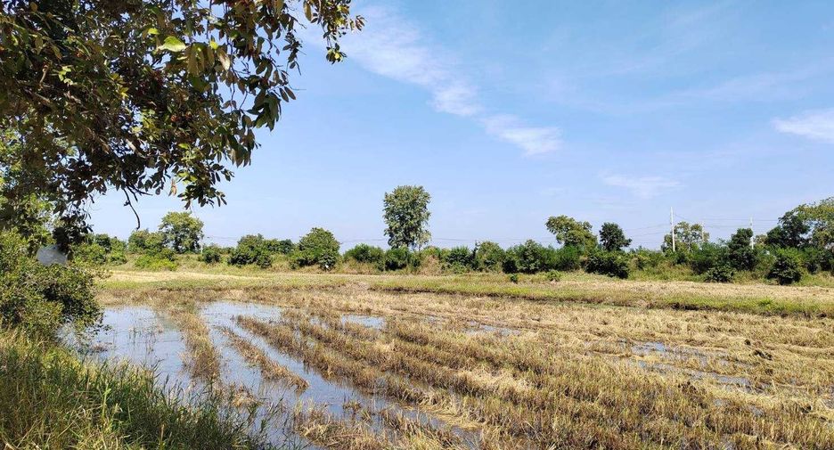 For sale land in Non Sung, Nakhon Ratchasima
