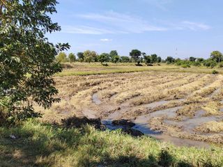 For sale land in Non Sung, Nakhon Ratchasima