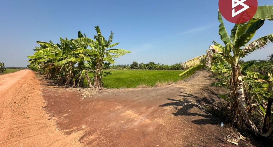 For sale land in Ban Sang, Prachin Buri