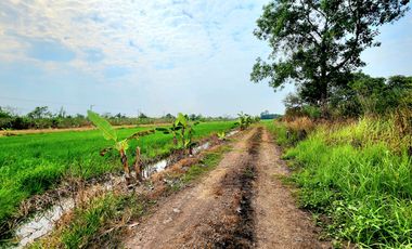 ขาย ที่ดิน ใน ธัญบุรี, ปทุมธานี