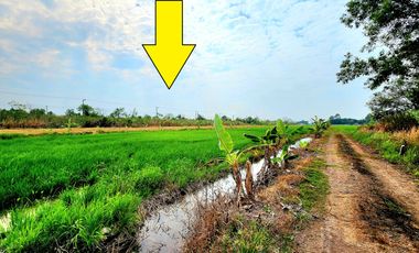 ขาย ที่ดิน ใน ธัญบุรี, ปทุมธานี