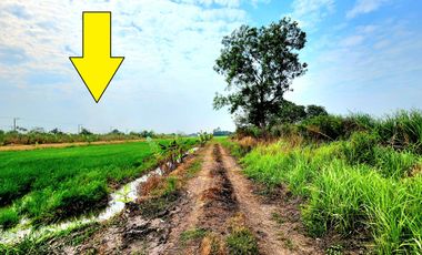 ขาย ที่ดิน ใน ธัญบุรี, ปทุมธานี
