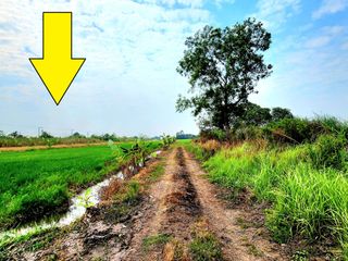 For sale land in Thanyaburi, Pathum Thani